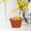 Mini Picking Basket Mini Woven Basket Rattan For Use 1set 9