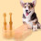 set spazzolino domestici con scatola 5