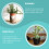 3 Unidades Almofadas De Cortiça Redondas Para Plantas (8 Polegadas) 9