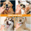 escova de dentes para pets 12 un lavável cães pequenos 8