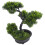 Árvore De Bonsai Artificial De Para Decoração 10