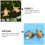 4 schildpadmodellen aquariumdecoratie en landschap 11