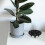 10 . kunststoff-blumenuntersetzer, robust, für und außen 3