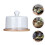 Cake Schutzhaube Aus Mit Tablett 6