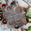 5 -loch-mesh, für bonsai- töpfe 8
