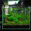 proteinschummer luchtsteen bubbelhout visaquarium 9