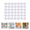 Transparent Plastic Suction Cups Without Hooks for Window Decor 5