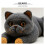 conjunto 6 peças bigodes animais diy nylon para com agulha 8