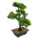 Árvore Bonsai Artificial Vaso Planta Decorativa 6