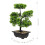 Árvore Bonsai Artificial Vaso Planta Decorativa 7