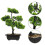 Árvore Bonsai Artificial Vaso Planta Decorativa 4