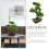 Árvore Bonsai Artificial Vaso Planta Decorativa 11