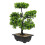 Árvore Bonsai Artificial Vaso Planta Decorativa 5