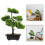 Árvore Bonsai Artificial Vaso Planta Decorativa 2