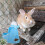 2 garrafas para hamster, automático estilo 11