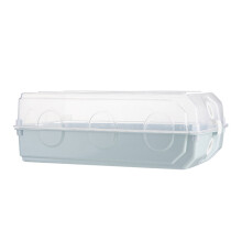 2Stk Dicke Muschelförmige Kunststoff Transparent Himmlischblau