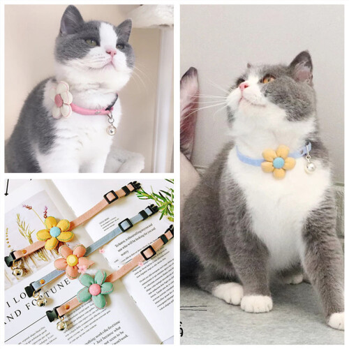 Pet Halsband Verstellbar Polyester Größe M Grün 2