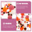 3 Sets Pompom Bälle Bastelarbeiten Polyester 10