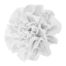 Craft Style Räucherstäbchenhalter Keramik Blumenförmig Für Schreibtisch