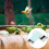 2pcs Kleine Metallbox Vogel Snack Box 5