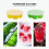 2Pcs Silicone Honeycomb Ice Cube Makers Assorted Color Ice Mold Tray 11