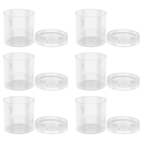 6 pièces bocal plastique loupe insectes transparent