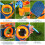 set vergrootglas insectenverzameldoos observatiecontainer kinderen 5