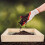 Gartensieb Für Schmutzsieb 7