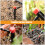 20pcs adjustable 360 degree drip irrigation tubing with stakes 7