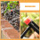 20pcs adjustable 360 degree drip irrigation tubing with stakes 8