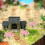 10 . árboles miniatura , bonsái artificial diy 7