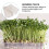 maceta plástica doble para con germinación y cesta 10