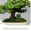 3 Pezzi Artificiali Miniatura Per Modellini Giardino 10