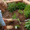 Garden Hark Multifunctionele Tuingrond Losmaken 6