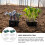 Stri 1 Set Gartenkeimgerät Mit Pflanz- Und Keimschale 8