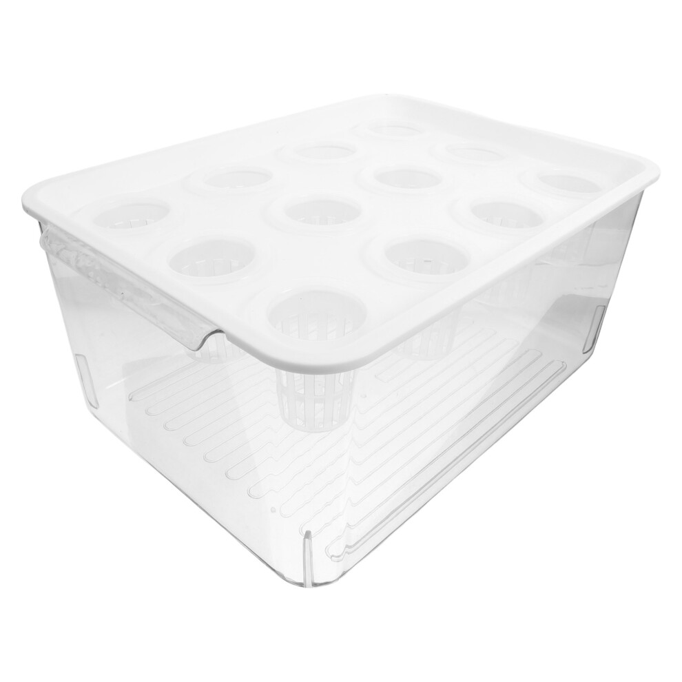 Przezroczyste Akwarium Bezramowe Na RośLiny I MałE Rybki-image