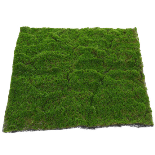 de mousse 4 pièces pour jardin intérieur 1
