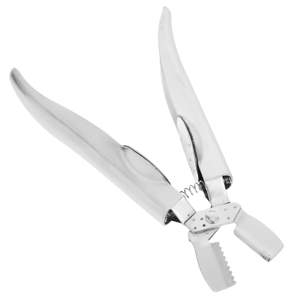 Otwieracz Do KasztanóW Stali Nierdzewnej Do OrzechóW I Ostryg-image