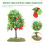 2 pezzi albero frutta simulata, decorazioni e paesaggio 11
