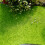 8 unidades grama artificial moss para paisagismo e decoração 5