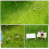 8 unidades grama artificial moss para paisagismo e decoração 6