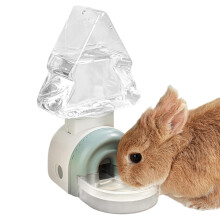 Pet Water Dispenser Ferret Water Dispenser Automatic Feeding Station 520 ML Pine Indoor Apartment