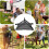 Folding Table Bag Triangular Mesh Portable Outdoor Foldable Net Bag For Camping Beach Picnics Barbecues 3
