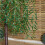 Snow Time 7ft (2.1m) Tall Light up Christmas Willow Tree with 384 Warm White LEDs 3