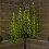 Snow Time 7ft (2.1m) Tall Light up Christmas Willow Tree with 384 Warm White LEDs 6