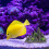 Fish Tank Ornaments Aus Harz 2 5