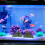 Fish Tank Ornaments Aus Harz 2 4