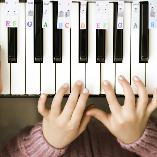 Piano Clavier Bande Numérotée Pour 61 Touches Notation Musicale 2