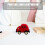 Decoratieve Ringdoos Vrouw Met Cartoon Design 7