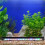1St Farbenfrohe Aquariumbeleuchtung Mit Us Stecker 11
